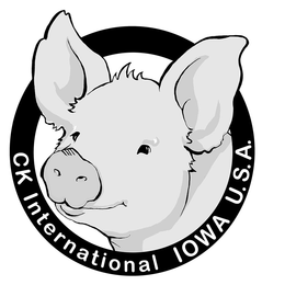 CK INTERNATIONAL IOWA U.S.A. logo