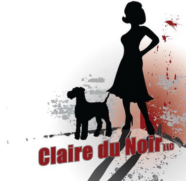 CLAIRE DU NOIR LLC logo