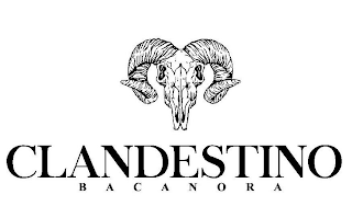 CLANDESTINO BACANORA logo