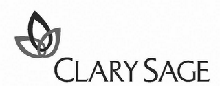 CLARY SAGE logo