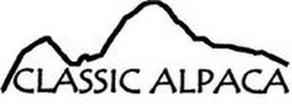 CLASSIC ALPACA logo
