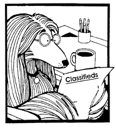 CLASSIFIEDS logo