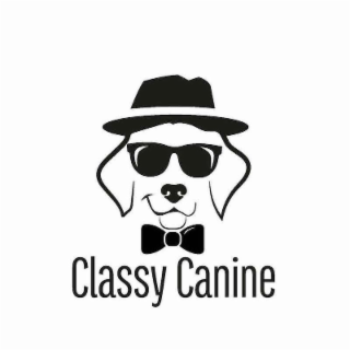 CLASSY CANINE logo