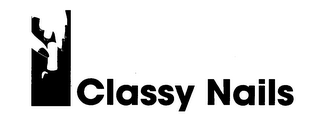 CLASSY NAILS logo
