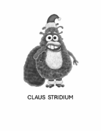 CLAUS STRIDIUM logo