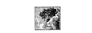 CLAVEL DE ESPAGNA logo