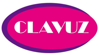 CLAVUZ logo