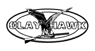 CLAY HAWK logo