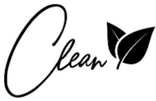 CLEAN logo