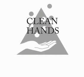 CLEAN HANDS logo