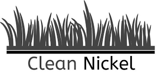 CLEAN NICKEL logo
