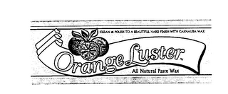 CLEAN & POLISH TO A BEAUTIFUL FINISH WITH CARNAUBA WAX ORANGE LUSTER ALL NATURAL PASTE WAX logo