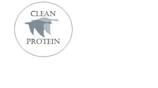 CLEAN PROTEIN logo