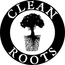CLEAN ROOTS logo
