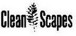 CLEAN SCAPES logo