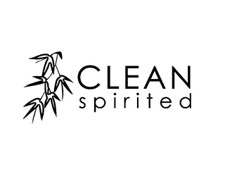 CLEAN SPIRITED logo