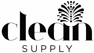 CLEAN SUPPLY logo