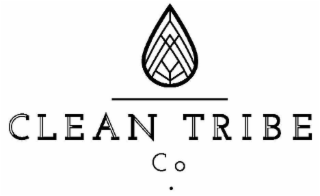 CLEAN TRIBE CO. logo