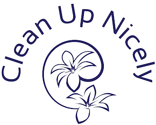 CLEAN UP NICELY logo