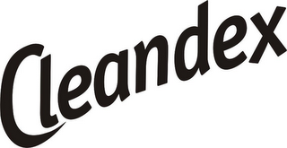 CLEANDEX logo