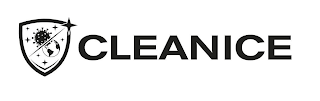 CLEANICE logo