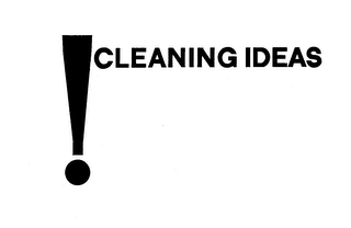 ! CLEANING IDEAS logo