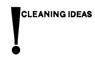 ! CLEANING IDEAS logo