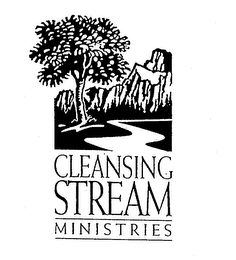 CLEANSING STREAM MINISTRIES logo