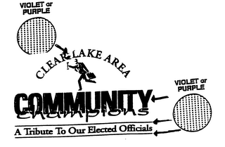 CLEAR LAKE AREA COMMUNITY CHAMPIONS A TRIBUTE TO OUR ELECTED OFFCIALS logo