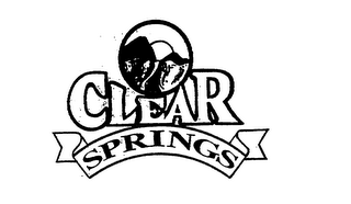 CLEAR SPRINGS logo