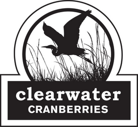 CLEARWATER CRANBERRIES logo
