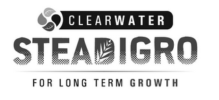 CLEARWATER STEADIGRO FOR LONG TERM GROWTH logo