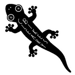 CLEARY BIKES logo
