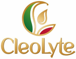 CLEOLYTE C logo