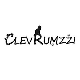 CLEVRUMZZI logo