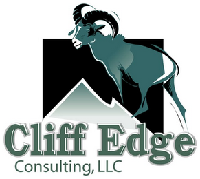 CLIFF EDGE CONSULTING, LLC logo