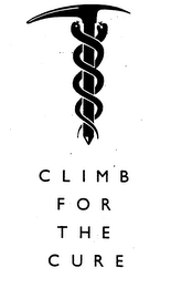 CLIMB FOR THE CURE