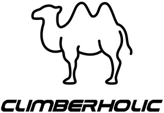 CLIMBERHOLIC logo