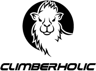 CLIMBERHOLIC logo