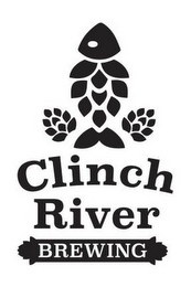 CLINCH RIVER BREWING logo