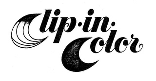 CLIP-IN-COLOR logo