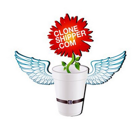 CLONESHIPPER.COM logo