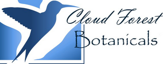 CLOUD FOREST BOTANICALS logo