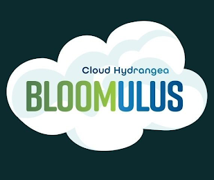 CLOUD HYDRANGEA BLOOMULUS logo