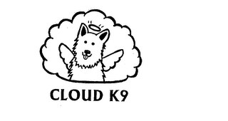 CLOUD K9 logo
