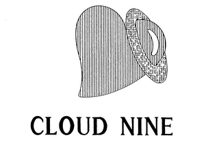 CLOUD NINE logo