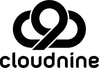 CLOUD NINE 9 logo