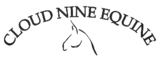 CLOUD NINE EQUINE logo