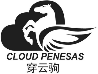 CLOUD PENESAS logo
