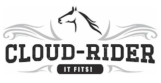 CLOUD-RIDER IT FITS! logo